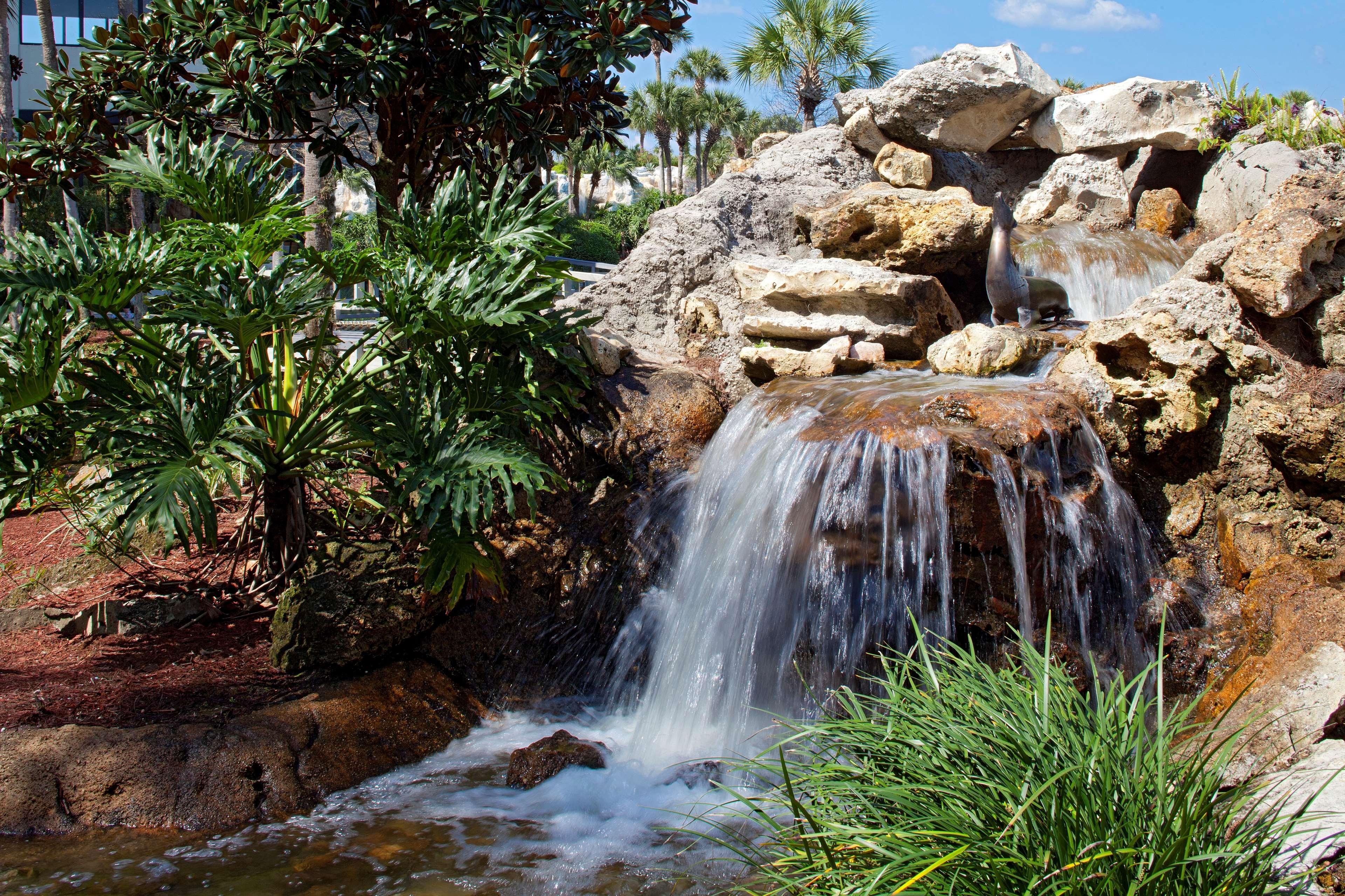 Hyatt Regency Grand Cypress Resort - Free Shuttle To Theme Parks! Lake Buena Vista Esterno foto