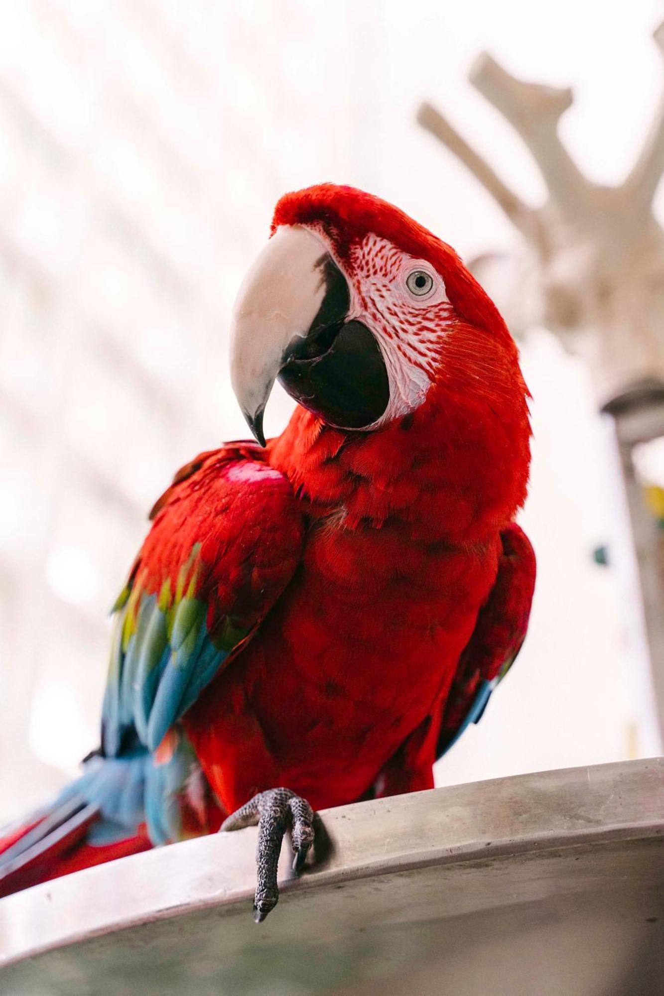 Hyatt Regency Grand Cypress Resort - Free Shuttle To Theme Parks! Lake Buena Vista Esterno foto